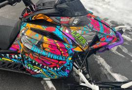 2019 Arctic Cat Alpha M6000 154” track 3” paddle 1