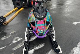 2019 Arctic Cat Alpha M6000 154” track 3” paddle 1