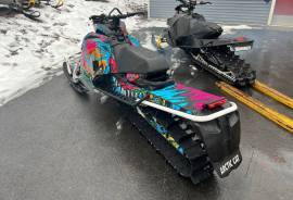 2019 Arctic Cat Alpha M6000 154” track 3” paddle 1