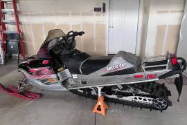 2003 Arctic Cat Mountain Cat 800 EFI 