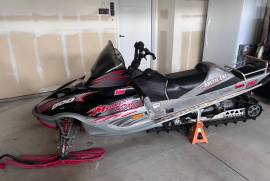 2003 Arctic Cat Mountain Cat 800 EFI 