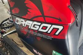 Polaris Dragon 800