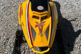 2005 SkiDoo Ski-Doo Mini Z X 120 kids youth snowmo